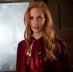 5003115-0080149936-19662