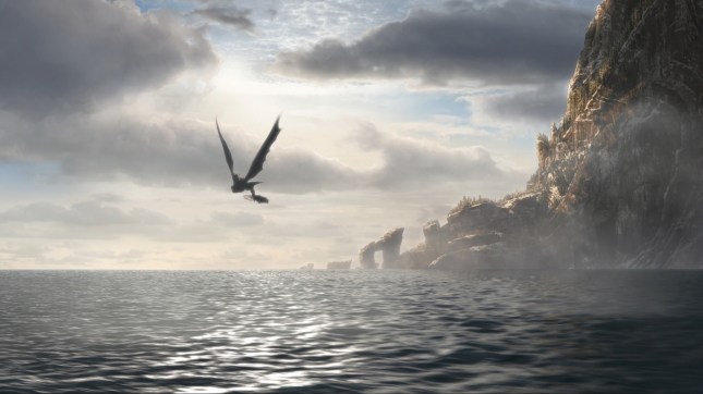 Morning Flight (1280x720).jpg