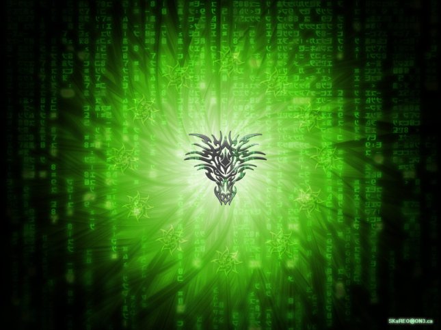 matrix_dragon_by_skareo.jpg
